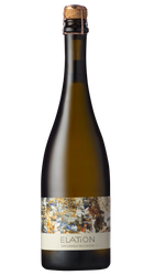 Elation Cap Classique 2019