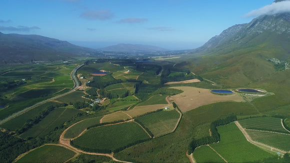 AN EVENING OF HEMEL-EN-AARDE WINES